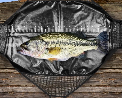 Photographed Fishing Unhooking - Fishing Bag Waterproof reseña y precio